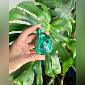 Malachite Turtle